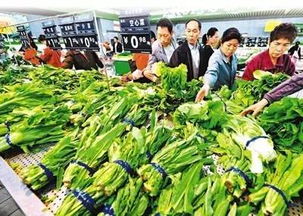 春節前菜市場探秘 蔬菜、水產、肉類價格與供應全解析