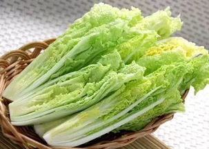 京東進軍蔬菜領域 重塑品質標準，超越有機蔬菜的革新之路